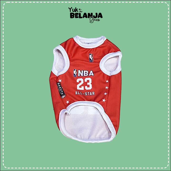 BASKET-ALLSTARS