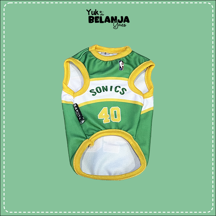 BASKET-SONICS
